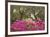 USA, Georgia, Savannah. Oak trees and azaleas at Bonaventure Cemetery in the spring-Joanne Wells-Framed Photographic Print