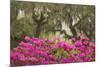 USA, Georgia, Savannah. Oak trees and azaleas at Bonaventure Cemetery in the spring-Joanne Wells-Mounted Photographic Print