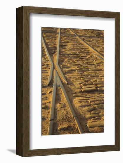 USA, Georgia, Savannah. Old railroad tracks along ballast stones at River Street.-Joanne Wells-Framed Photographic Print