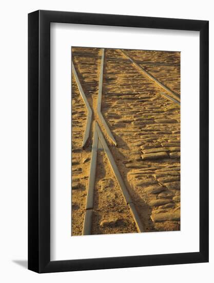 USA, Georgia, Savannah. Old railroad tracks along ballast stones at River Street.-Joanne Wells-Framed Photographic Print