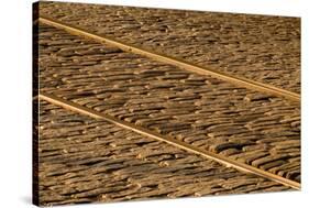 USA, Georgia, Savannah. Old railroad tracks along cobblestone at River Street.-Joanne Wells-Stretched Canvas