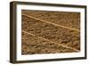 USA, Georgia, Savannah. Old railroad tracks along cobblestone at River Street.-Joanne Wells-Framed Photographic Print