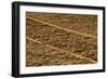 USA, Georgia, Savannah. Old railroad tracks along cobblestone at River Street.-Joanne Wells-Framed Photographic Print