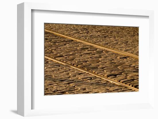 USA, Georgia, Savannah. Old railroad tracks along cobblestone at River Street.-Joanne Wells-Framed Photographic Print