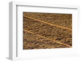 USA, Georgia, Savannah. Old railroad tracks along cobblestone at River Street.-Joanne Wells-Framed Photographic Print