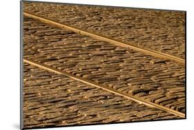 USA, Georgia, Savannah. Old railroad tracks along cobblestone at River Street.-Joanne Wells-Mounted Photographic Print