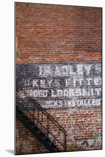 USA, Georgia, Savannah, Painting on a brick building.-Joanne Wells-Mounted Photographic Print