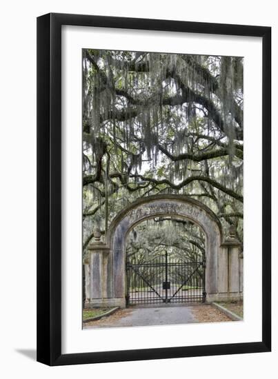 USA, Georgia, Savannah. Plantation gate at entrance-Hollice Looney-Framed Photographic Print