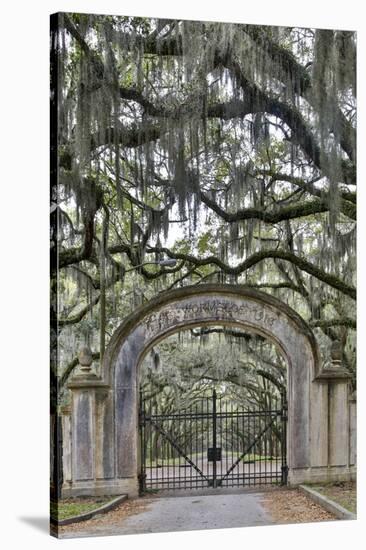 USA, Georgia, Savannah. Plantation gate at entrance-Hollice Looney-Stretched Canvas