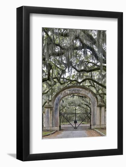 USA, Georgia, Savannah. Plantation gate at entrance-Hollice Looney-Framed Photographic Print