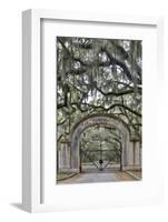 USA, Georgia, Savannah. Plantation gate at entrance-Hollice Looney-Framed Photographic Print