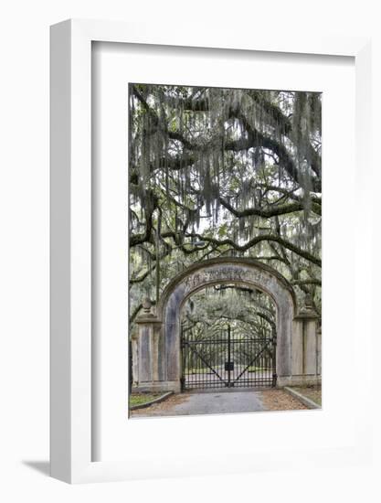 USA, Georgia, Savannah. Plantation gate at entrance-Hollice Looney-Framed Photographic Print