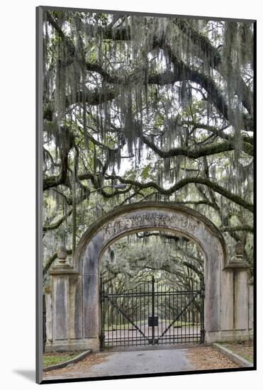 USA, Georgia, Savannah. Plantation gate at entrance-Hollice Looney-Mounted Photographic Print