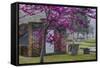 USA, Georgia, Savannah, Red Bud Tree in Colonial Park Cemetery-Joanne Wells-Framed Stretched Canvas