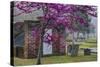 USA, Georgia, Savannah, Red Bud Tree in Colonial Park Cemetery-Joanne Wells-Stretched Canvas