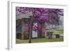 USA, Georgia, Savannah, Red Bud Tree in Colonial Park Cemetery-Joanne Wells-Framed Photographic Print