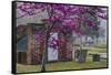 USA, Georgia, Savannah, Red Bud Tree in Colonial Park Cemetery-Joanne Wells-Framed Stretched Canvas