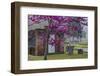 USA, Georgia, Savannah, Red Bud Tree in Colonial Park Cemetery-Joanne Wells-Framed Photographic Print