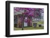 USA, Georgia, Savannah, Red Bud Tree in Colonial Park Cemetery-Joanne Wells-Framed Photographic Print