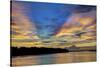 USA, Georgia, Savannah, Sunrise along Savannah River.-Joanne Wells-Stretched Canvas