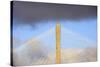 USA, Georgia, Savannah. Talmadge Memorial Bridge in the clouds.-Joanne Wells-Stretched Canvas