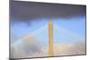 USA, Georgia, Savannah. Talmadge Memorial Bridge in the clouds.-Joanne Wells-Mounted Photographic Print