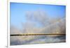 USA, Georgia, Savannah. Talmadge Memorial Bridge with truck crossing.-Joanne Wells-Framed Photographic Print