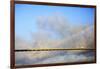 USA, Georgia, Savannah. Talmadge Memorial Bridge with truck crossing.-Joanne Wells-Framed Photographic Print