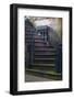 USA, Georgia, Savannah. Wrought iron railing at home in the Historic District.-Joanne Wells-Framed Photographic Print