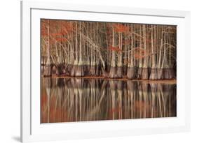 USA, Georgia. Twin City, Cypress trees and reflections in the fall.-Joanne Wells-Framed Premium Photographic Print