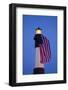 USA, Georgia, Tybee Island, Flag flying on lighthouse at Tybee Island.-Joanne Wells-Framed Photographic Print