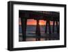 USA, Georgia, Tybee Island, Tybee Pier at sunrise.-Joanne Wells-Framed Photographic Print