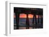 USA, Georgia, Tybee Island, Tybee Pier at sunrise.-Joanne Wells-Framed Photographic Print