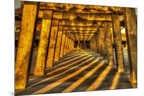 USA, Georgia, Tybee Island. Tybee Pier with shadows at sunrise.-Joanne Wells-Mounted Premium Photographic Print