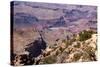 USA, Grand Canyon National Park, Desert View-Catharina Lux-Stretched Canvas