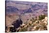 USA, Grand Canyon National Park, Desert View-Catharina Lux-Stretched Canvas