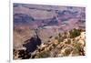 USA, Grand Canyon National Park, Desert View-Catharina Lux-Framed Photographic Print