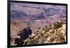 USA, Grand Canyon National Park, Desert View-Catharina Lux-Framed Photographic Print