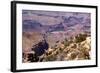 USA, Grand Canyon National Park, Desert View-Catharina Lux-Framed Photographic Print