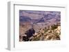 USA, Grand Canyon National Park, Desert View-Catharina Lux-Framed Photographic Print