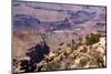 USA, Grand Canyon National Park, Desert View-Catharina Lux-Mounted Photographic Print