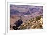 USA, Grand Canyon National Park, Desert View-Catharina Lux-Framed Photographic Print