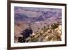 USA, Grand Canyon National Park, Desert View-Catharina Lux-Framed Photographic Print