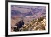 USA, Grand Canyon National Park, Desert View-Catharina Lux-Framed Photographic Print