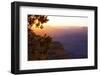 USA, Grand Canyon National Park, Evening Light-Catharina Lux-Framed Photographic Print