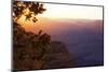 USA, Grand Canyon National Park, Evening Light-Catharina Lux-Mounted Photographic Print