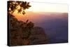 USA, Grand Canyon National Park, Evening Light-Catharina Lux-Stretched Canvas