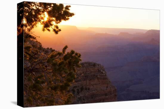 USA, Grand Canyon National Park, Evening Light-Catharina Lux-Stretched Canvas