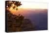 USA, Grand Canyon National Park, Evening Light-Catharina Lux-Stretched Canvas