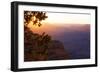 USA, Grand Canyon National Park, Evening Light-Catharina Lux-Framed Photographic Print